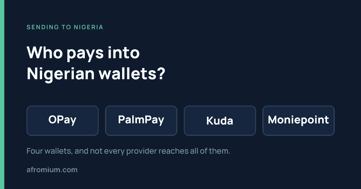 Which money transfer services pay into OPay, PalmPay, Kuda and Moniepoint?